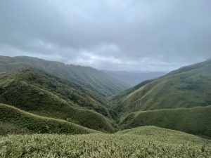抹茶山 2